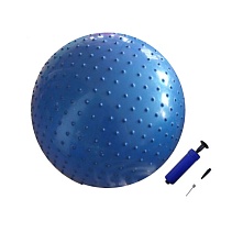 картинка Мяч массажный с насосом от магазина TSP-SHOP