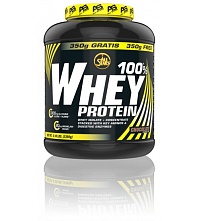 картинка 100% Whey Protein от магазина TSP-SHOP